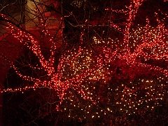 021 Toledo Zoo Light Show [2008 Dec 27]